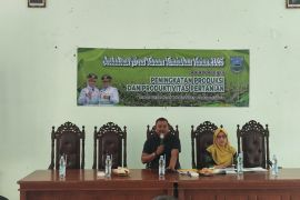 Area tanam tembakau di Probolinggo capai 11.524,70 ha