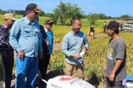 Kalsel kemarin dari evaluasi fiskal hingga ekonomi syariah