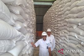 Persediaan beras Bulog Aceh capai 14 bulan