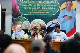 Pemkab Pati kembangkan komoditas unggulan pertanian