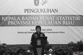 Kepala BPS RI ingin data PDRB tingkat kabupaten/kota bisa per triwulan