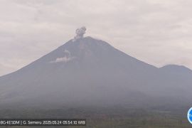 Gunung Semeru erupsi empat kali dengan letusan hingga 800 meter