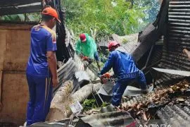 BPBD Belitung evakuasi pohon tumbang menimpa rumah warga