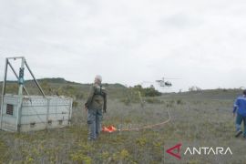 Agincourt Resources turunkan helikopter, pelepasliaran Harimau Sumatra "Senja" ke TNGL sukses