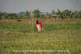 Mahasiswa UC berlaga di International Photography Awards 2025