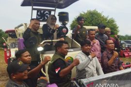 Tanjung Jabung Timur Jambi canangkan Gerakan Tanam Padi Tiga Kali Setahun