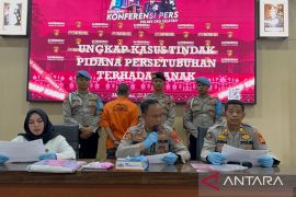 Pemkab OKU Selatan beri pendampingan  korban pelecehan seksual