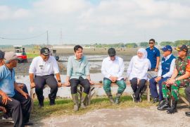 Gubernur Khofifah sebut Jatim kontributor padi tertinggi nasional