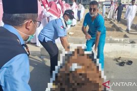 Kemenag Kutim ungkap penyebab jamaah haji yang meninggal dunia
