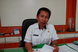 Pemkab Agam pantau kesehatan hewan kurban