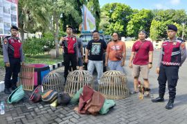 Polisi gerebek arena judi sabung ayam di Situbondo