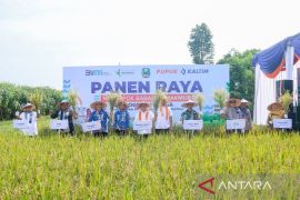 Program BISA Pupuk Kaltim bawa petani panen empat kali setahun