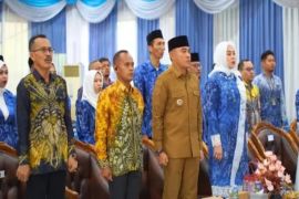 Dekranasda Tanah Laut tingkatkan kemampuan pelaku UMKM lokal