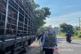 DKPP Pamekasan bentuk tim khusus guna pantau hewan kurban