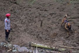 Sistem peringatan dini longsor nasional yang tidak bisa lagi ditunda