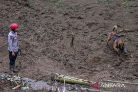 Pencarian korban bencana tanah longsor di Lembang