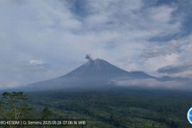 Semeru kembali alami erupsi dengan abu vulkanik ke arah tenggara dan selatan