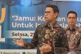 BPOM siap lakukan uji coba kandungan Ayam Goreng Widuran