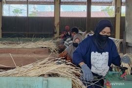 Kemenperin sebut Perpres 46/2025 selamatkan 1,7 juta pekerja dari PHK