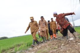 Gubernur Banten komitmen perkuat konektivitas pertanian lewat JUT