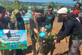 Wamen Kehutanan sebut aksi tanam 110 ribu pohon di Sorong wujud jaga alam