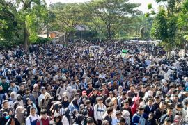 Anggota DPR sebut kericuhan job fair cerminan kebutuhan masyarakat  pada pekerjaan mendesak