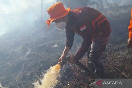BPBD berjibaku padamkan kebakaran lahan gambut di Mukomuko