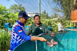 Dinas Perikanan Batam salurkan bantuan 137 unit bioflok pada pembudidaya