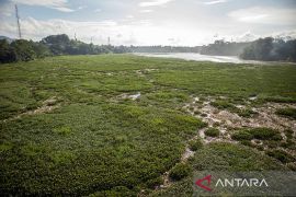 Sungai Citarum dipenuhi sampah dan eceng gondok