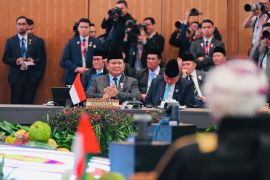 Presiden Prabowo minta jaringan bisnis ASEAN-GCC dibentuk untuk industri halal