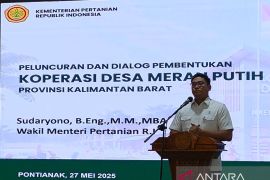  Peran kolaboratif dorong lonjakan produksi beras nasional