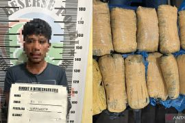 Pembawa 17 paket ganja diringkus saat kendarai motor tanpa nomor polisi