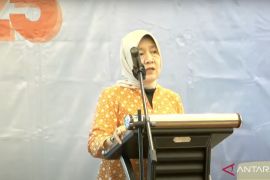 KLH inventarisasi penggunaan PCB dan merkuri demi percepat penghapusan