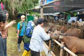 Pemkot libatkan polisi bina pedagang soal mobilitas angkutan hewan