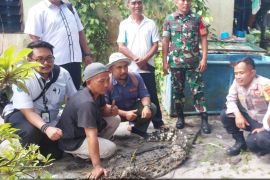 Tim gabungan evakuasi buaya peliharaan warga di Bintan