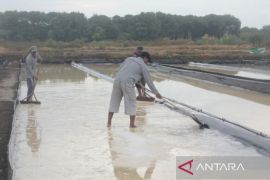 DKPP Cirebon mengoptimalkan rumah garam selama kemarau basah