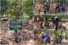 Wujudkan PROPER Hijau, PT SLK galang aksi biodiversitas di Hari Keanekaragaman Hayati