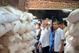 Plafon pendanaan untuk Koperasi Merah Putih Rp3 miliar