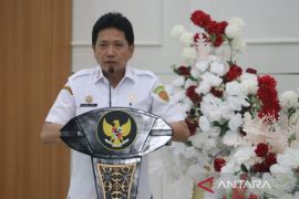 Ekonomi Maluku  tumbuh 5,07 persen pada triwulan I 2025