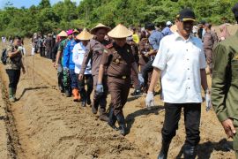 Kejari Batam tanam jagung di Rempang dukung ketahanan pangan
