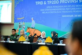 Wagub Sulsel sebut intervensi harga pangan harus tepat dan terukur