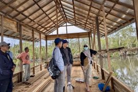 Kalsel siapkan lahan mangrove sambut Menteri LH terkait program PSN