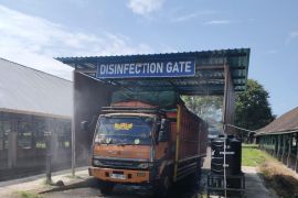 Badan Karantina Bali cek lalu lintas sapi kurban jelang Idul Adha