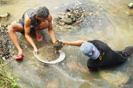 Berburu butiran emas di Sungai Kalibamban Tulungagung
