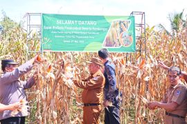 Pemkot Payakumbuh terus dorong masyarakat manfaatkan lahan tidur