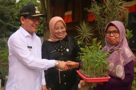 Wako Payakumbuh serahkan bantuan bibit untuk KWT