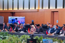 Indo-Pacific stability requires solid ASEAN-GCC partnership