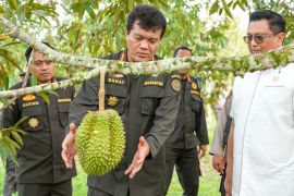 China resmi buka akses ekspor durian beku asal Indonesia