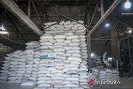 Realisasi penyerapan beras petani di Banten dan Jakarta