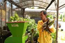 DJPb usulkan pengelolaan sampah berbasis budi daya cacing tanah